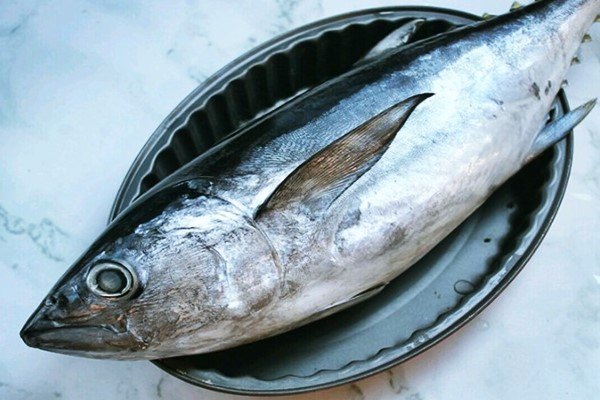 Harga ikan tongkol 1 kg 2021