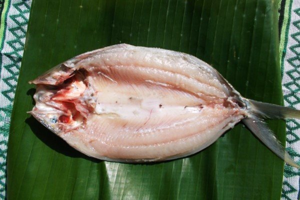 Ikan Bandeng Tanpa Duri