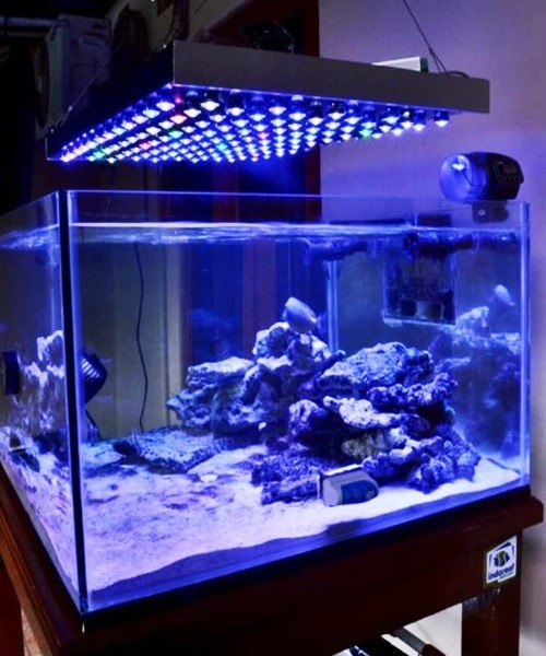 Lampu Aquarium